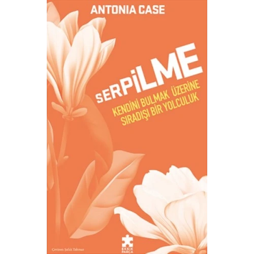 Serpilme: Kendini Bulmak Üzerine Sıradışı Bir Yolculuk