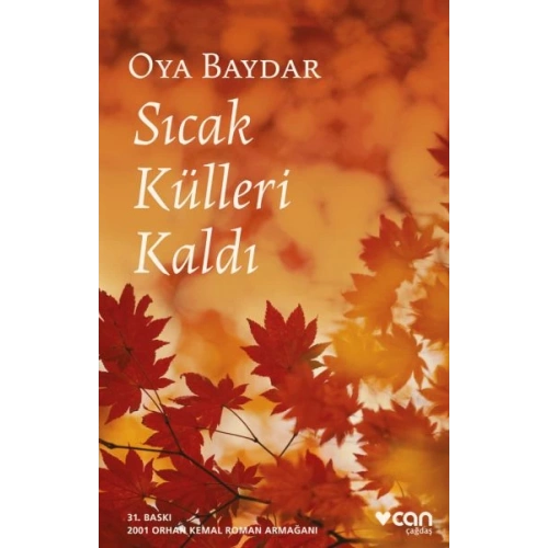 Sıcak Külleri Kaldı