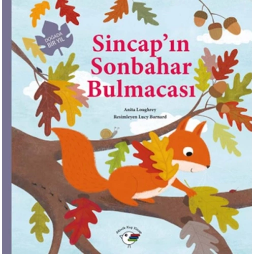Sincap’ın Sonbahar Bulmacası – Doğada Bir Yıl