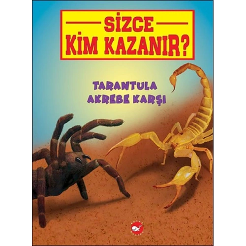 Sizce Kim Kazanır? - Tarantula Akrebe Karşı