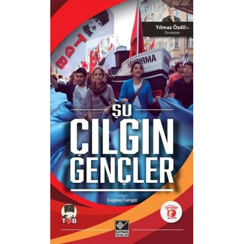 Şu Çılgın Gençler