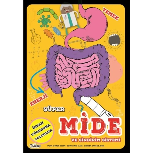 Süper Mide Ve Sindirim Sistemi
