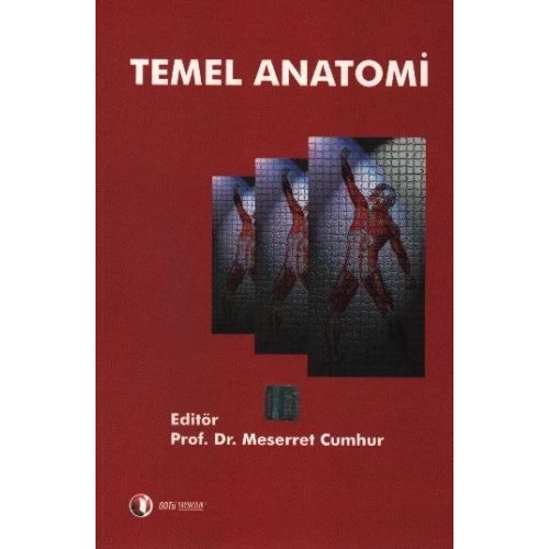 Temel Anatomi