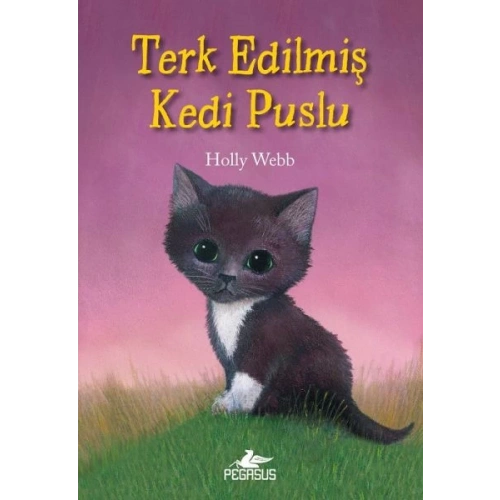 Terk Edilmiş Kedi Puslu