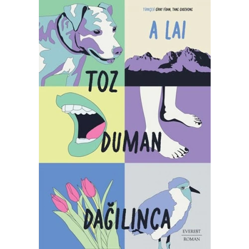 Toz Duman Dağılınca