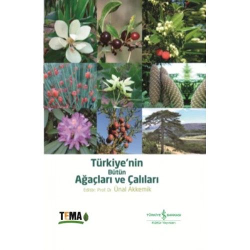 Türkiyenin Bütün Ağaçları ve Çalıları
