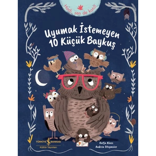 Uyumak İstemeyen 10 Küçük Baykuş