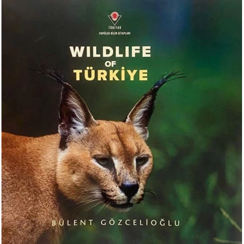 Wıldlıfe Of Türkiye