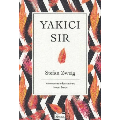 Yakıcı Sır - Ciltsiz