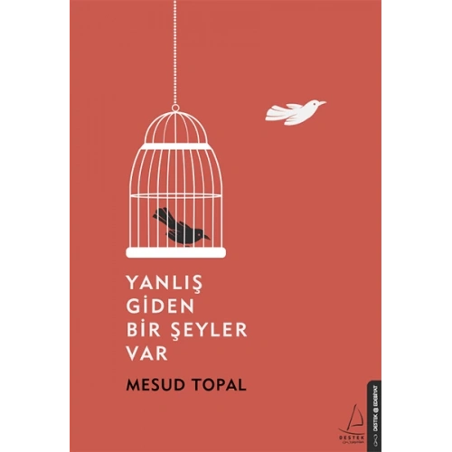 Yanlış Giden Bir Şeyler Var