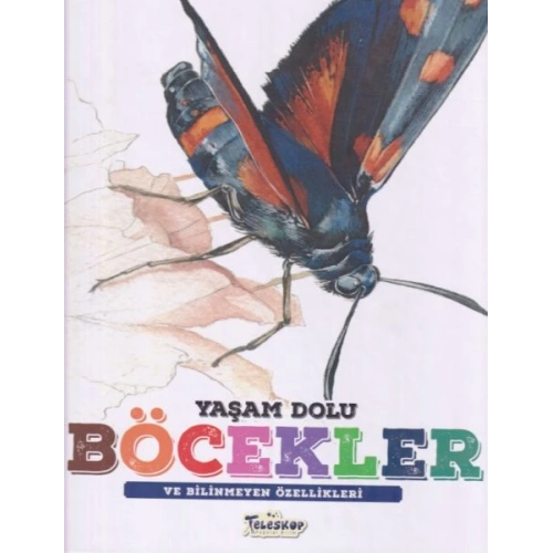 Yaşam Dolu Böcekler