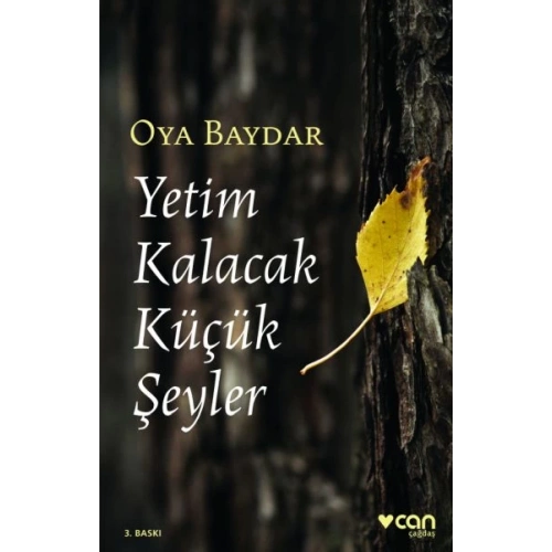 Yetim Kalacak Küçük Şeyler