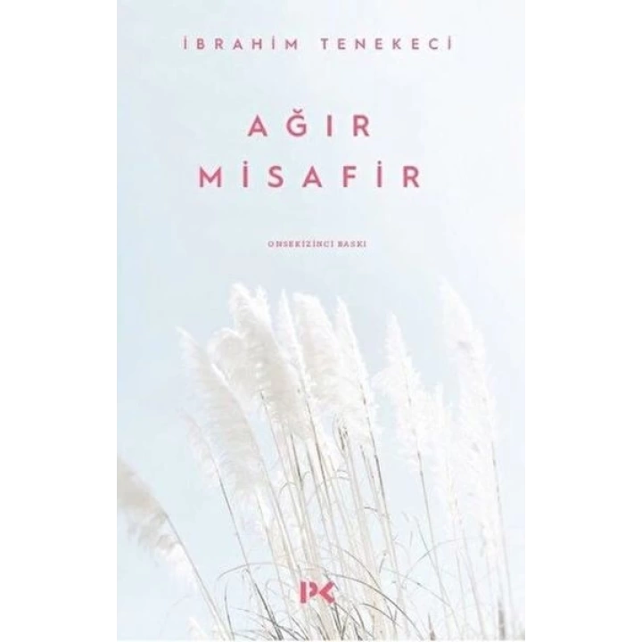 Ağır Misafir