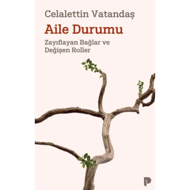Aile Durumu