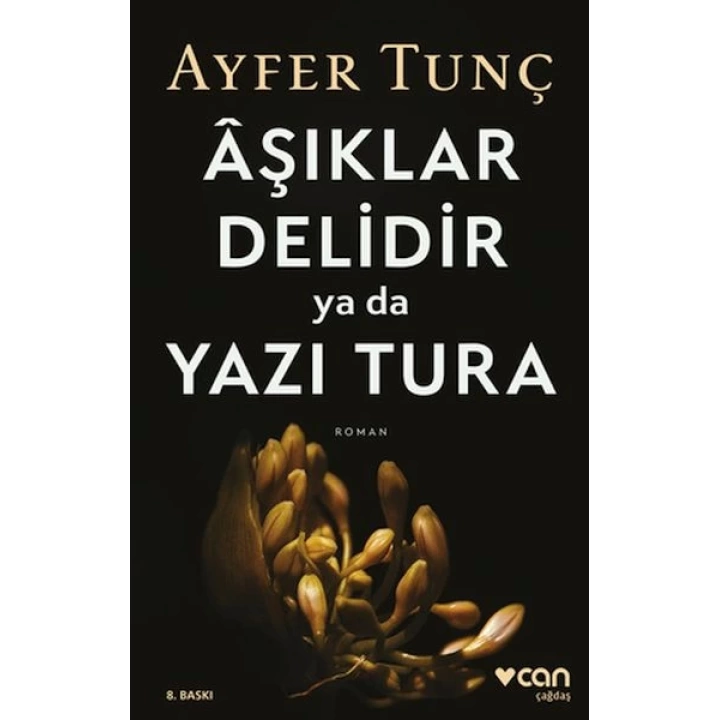 Aşıklar Delidir ya da Yazı Tura
