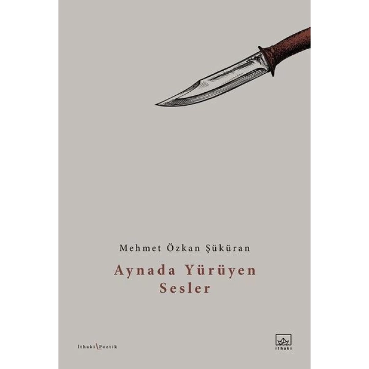 Aynada Yürüyen Sesler