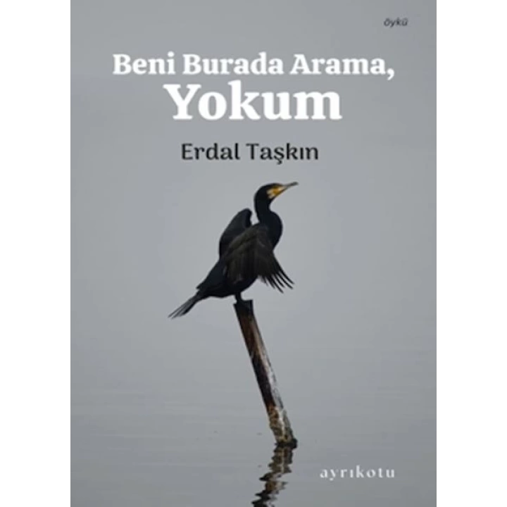 Beni Burada Arama, Yokum