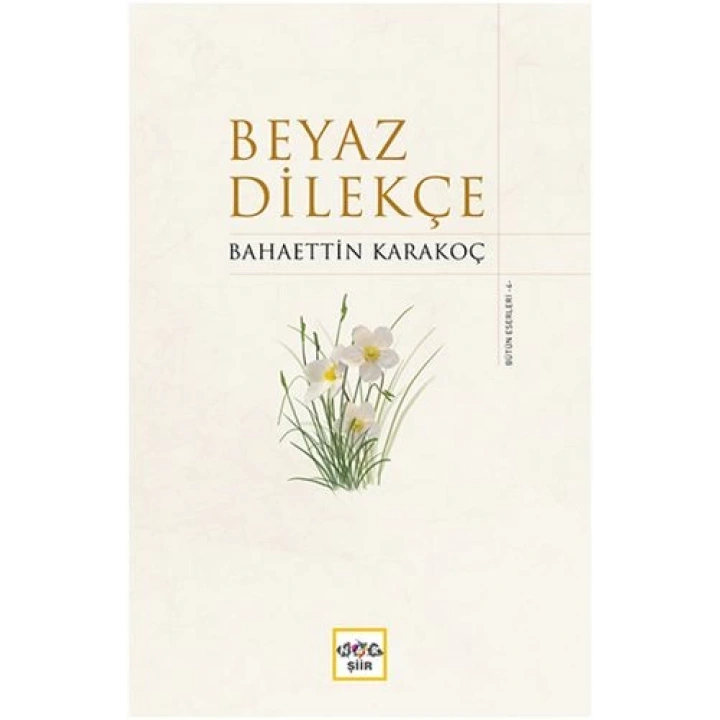 Beyaz Dilekçe (Ciltli)
