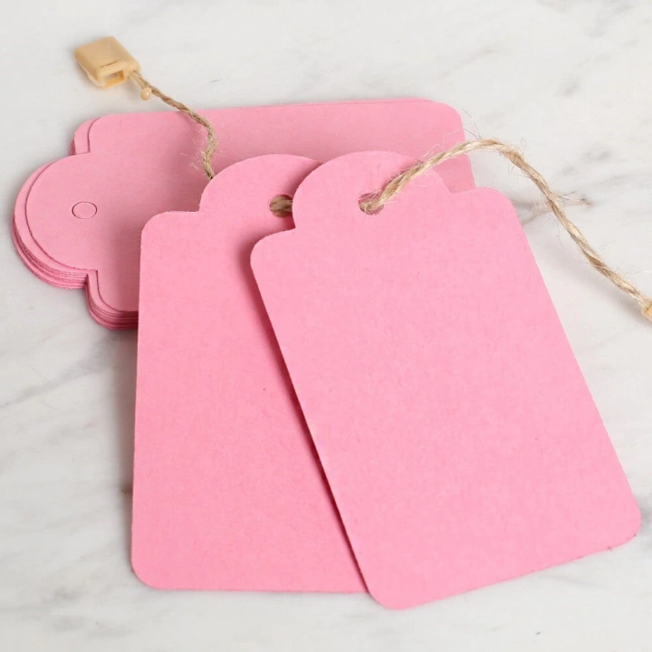 BFS  10lu Pembe Etiket ve Klipsli Etiket İpi