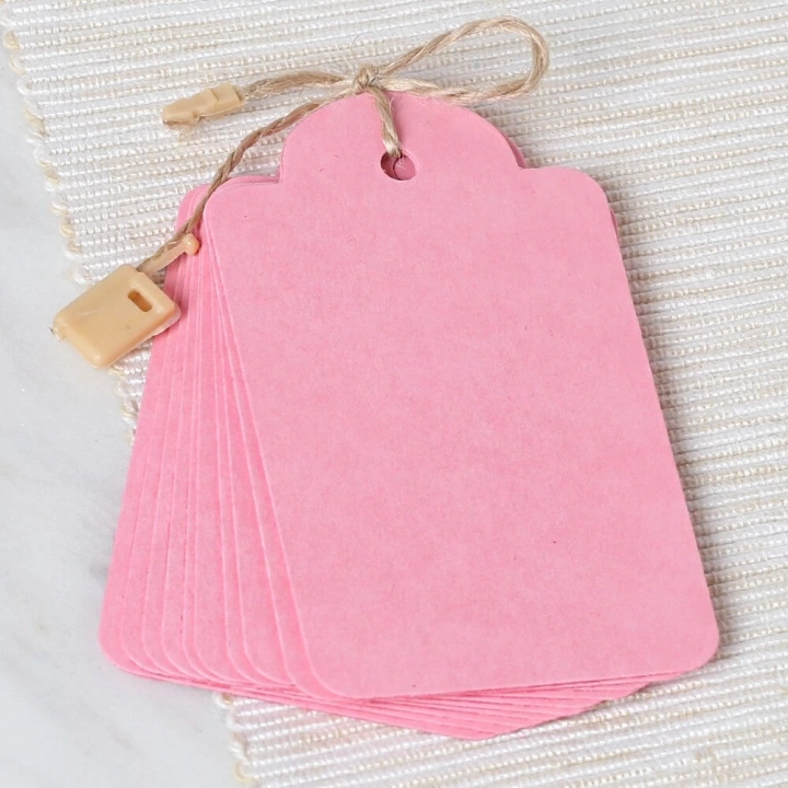 BFS  10lu Pembe Etiket ve Klipsli Etiket İpi