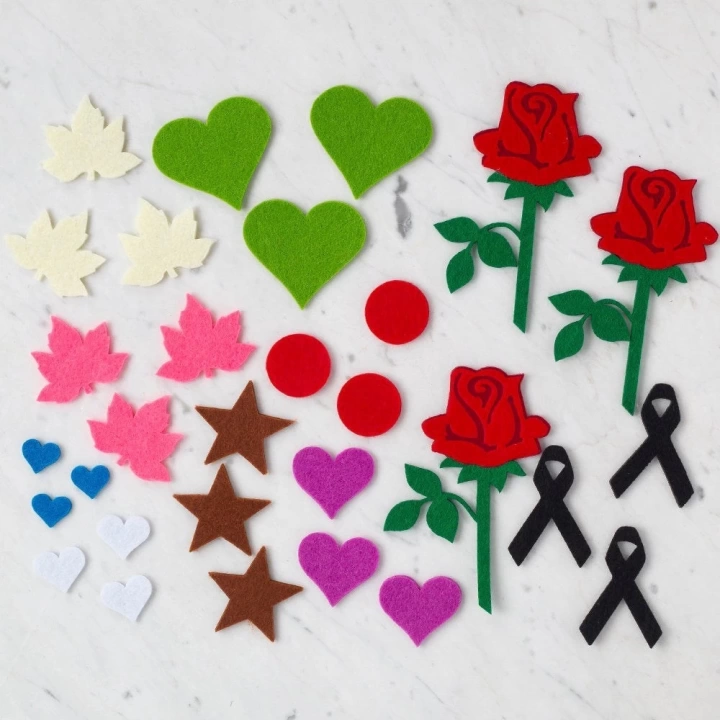 BFS  10 Paket Karışık Yaprak Figürlü Keçe Set
