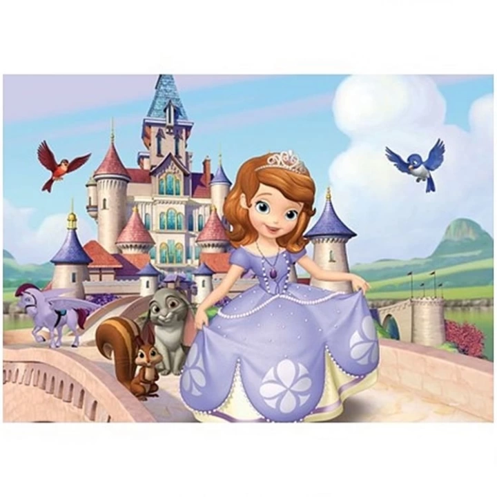 BFS   100 Parça Sofia Puzzle