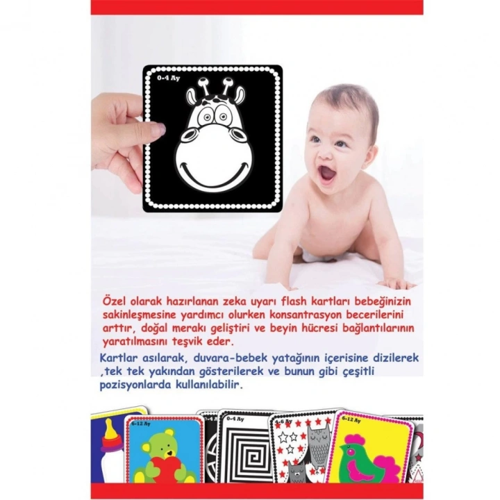 BFS  1369 F.CARDS BEBEĞİMİN İLK ZEKA KARTLARI