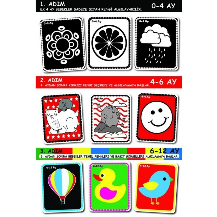 BFS  1369 F.CARDS BEBEĞİMİN İLK ZEKA KARTLARI