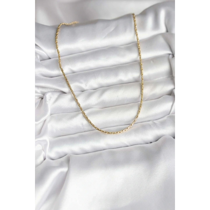 BFS 14K Gold Renk Kaplama İnce Zincir Model CM Kadın Kolye