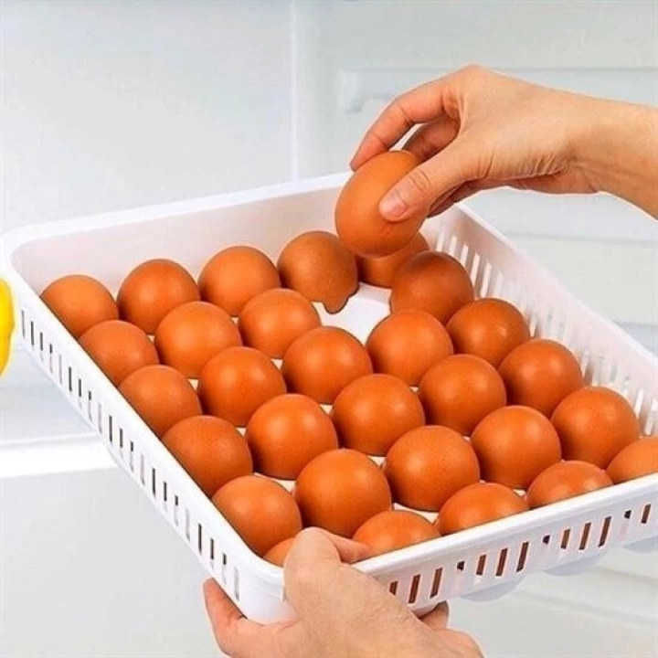 BFS  15liYumurta Saklama Kabı