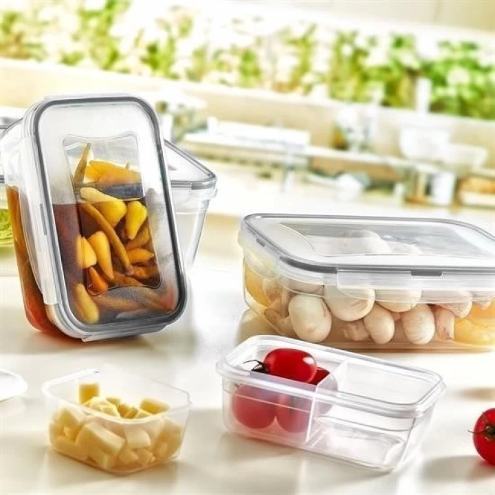 BFS  2 Bölmeli Sızdırmaz Contalı Kilitli Kapaklı 1 Litre Erzak Saklama Kabı -LC505