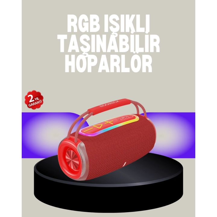 BFS 20W Kablosuz Bluetooth Hoparlör RGB Işık Efektli USB/SD/AUX Destekli