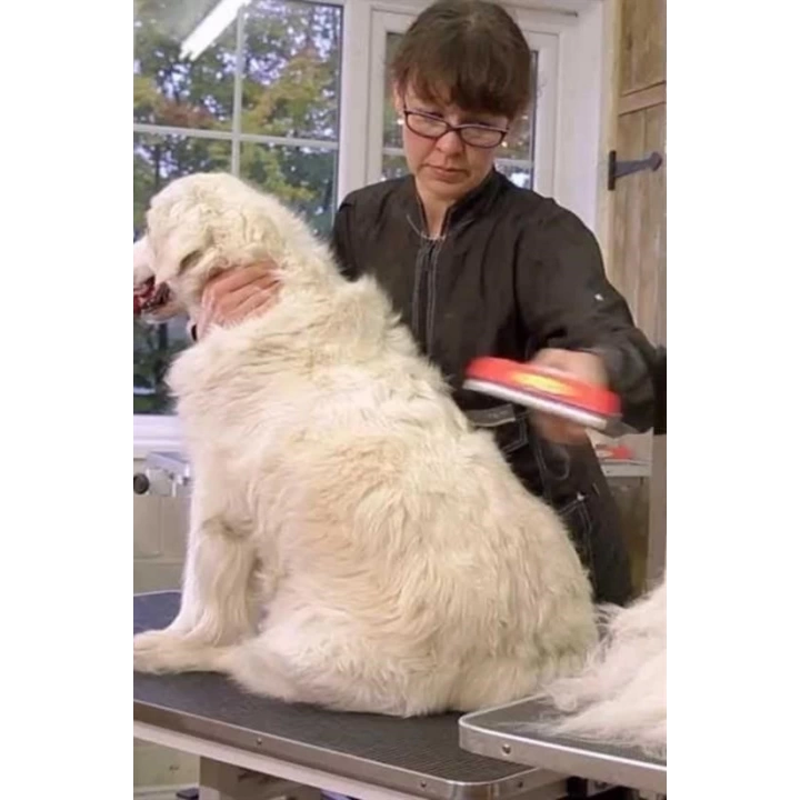 BFS  23 KG Üzeri Uzun Tüylü Köpekler İçin Tüy Toplayıcı Ergonomik Tarak