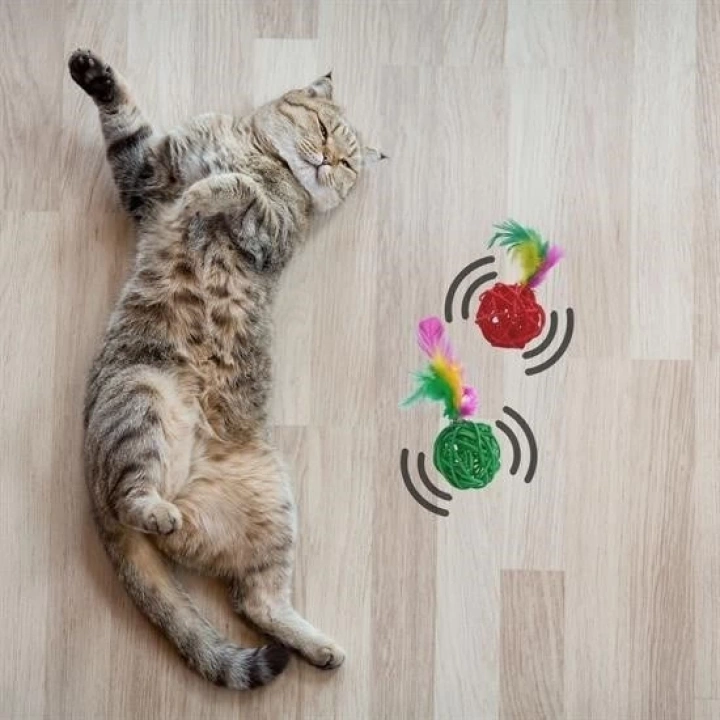 BFS  2li Rattan Renkli Peluş Tüy Kedi Köpek Oyuncak Yakalama Çiğneme Çıngıraklı Top Oyuncağı