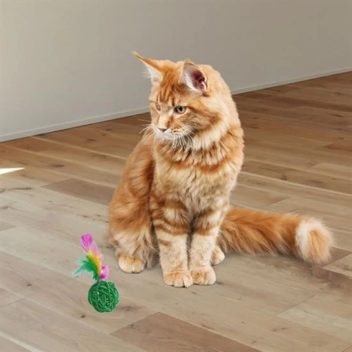 BFS  2li Rattan Renkli Peluş Tüy Kedi Köpek Oyuncak Yakalama Çiğneme Çıngıraklı Top Oyuncağı