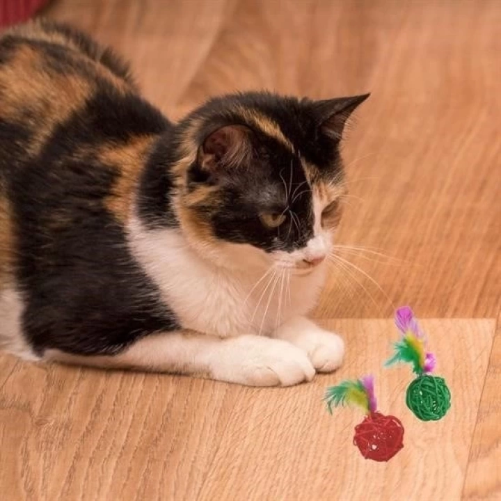 BFS  2li Rattan Renkli Peluş Tüy Kedi Köpek Oyuncak Yakalama Çiğneme Çıngıraklı Top Oyuncağı