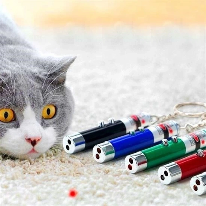 BFS   3 Fonksiyonlu Kırmızı Beyaz Işıklı Led Lazer Kedi Köpek Oyuncak Anahtarlık
