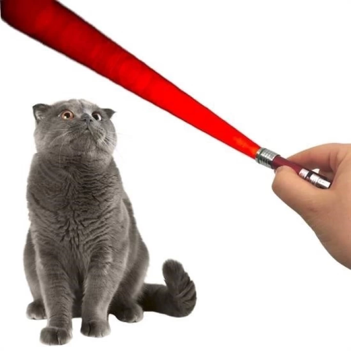 BFS   3 Fonksiyonlu Kırmızı Beyaz Işıklı Led Lazer Kedi Köpek Oyuncak Anahtarlık