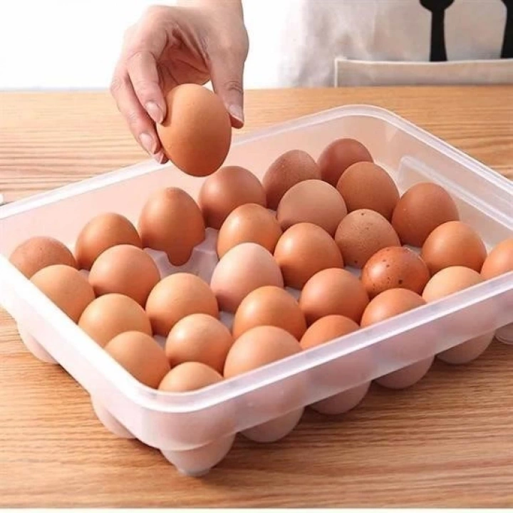 BFS  30lu Yumurta Saklama Kabı