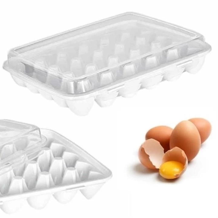BFS  30lu Yumurta Saklama Kabı