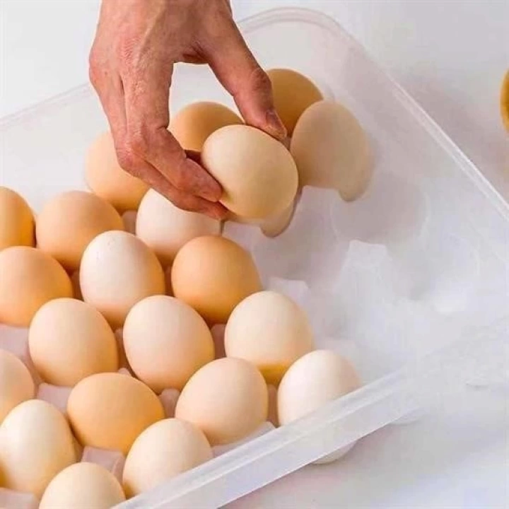 BFS  30lu Yumurta Saklama Kabı