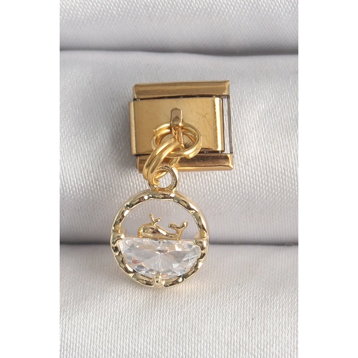 BFS 316L Çelik Gold Renk Sallantı Zirkon Taşlı Balina Model Nomination Charm