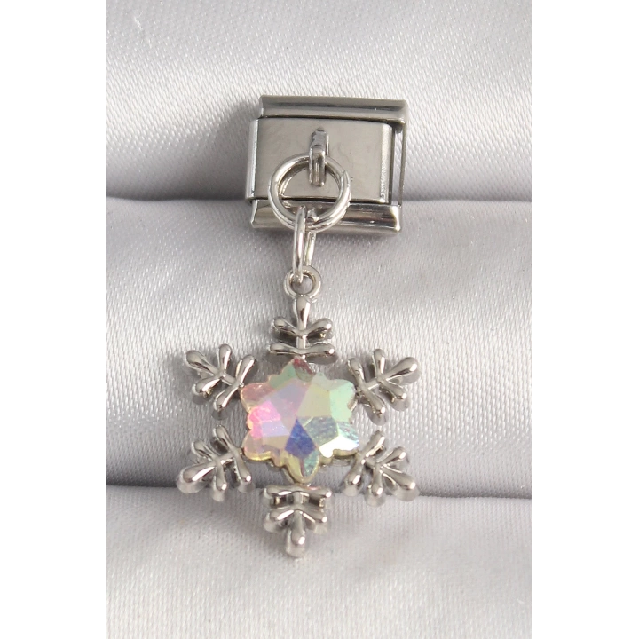 BFS 316L Çelik Gümüş Renk Hologram Mineli Kar Tanesi Model Nomination Charm