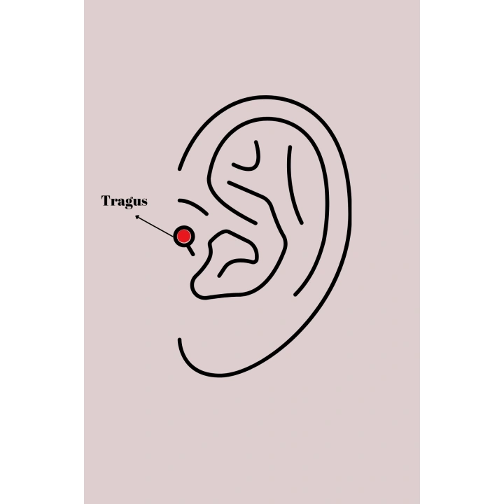 BFS 316L Çelik Gümüş Renk Zirkon Taşlı Sonsuzluk Detay Tragus Piercing