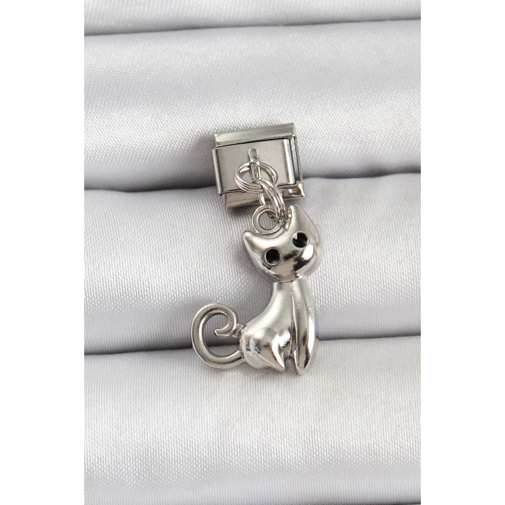 BFS 316L Çelik Renk Kedi Model Nomination Charm