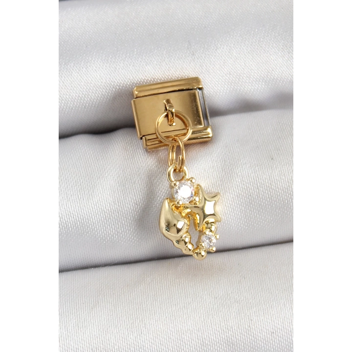 BFS 316L Çelik Sallantılı Zirkon Taşlı Deniz Kabuğu Ve Yıldız Model Gold Renk Nomination Charm