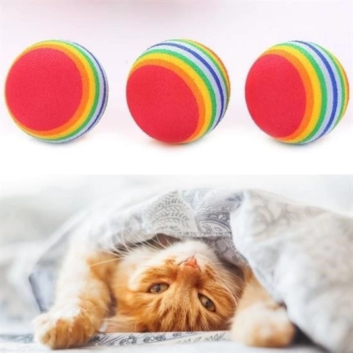 BFS  3lü Gökkuşağı Sünger Kedi Köpek Çiğneme Oyun Topu 4,2 cm