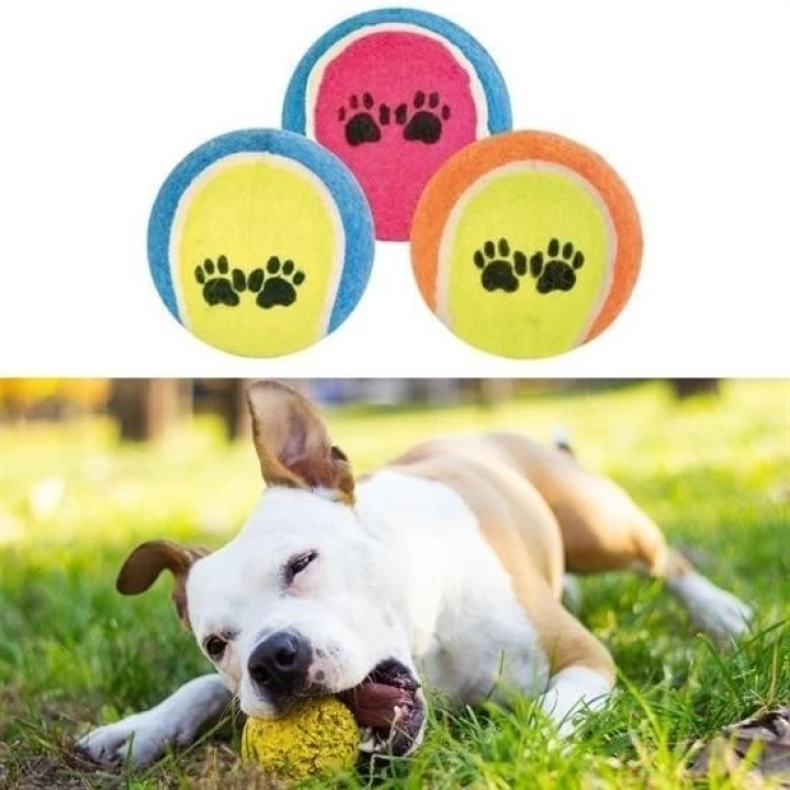 BFS   3lü Renkli Desenli Tenis Topu Kedi Köpek Oyuncağı