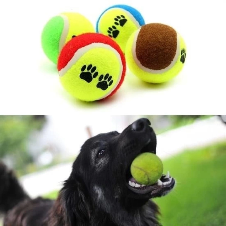 BFS   3lü Renkli Desenli Tenis Topu Kedi Köpek Oyuncağı