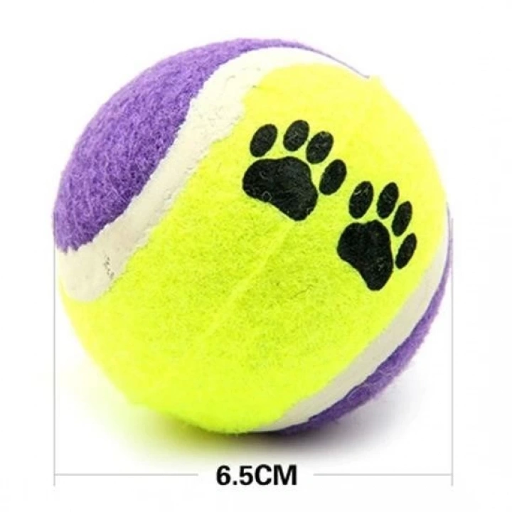 BFS   3lü Renkli Desenli Tenis Topu Kedi Köpek Oyuncağı